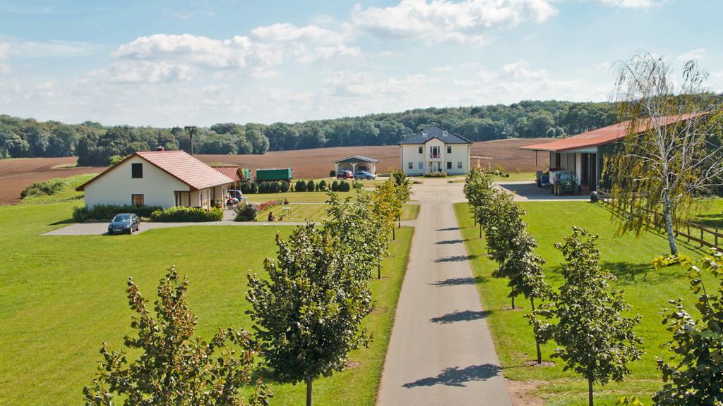 Ferienwohnung Hof Maiweg Alt Schonau Ngoại thất bức ảnh
